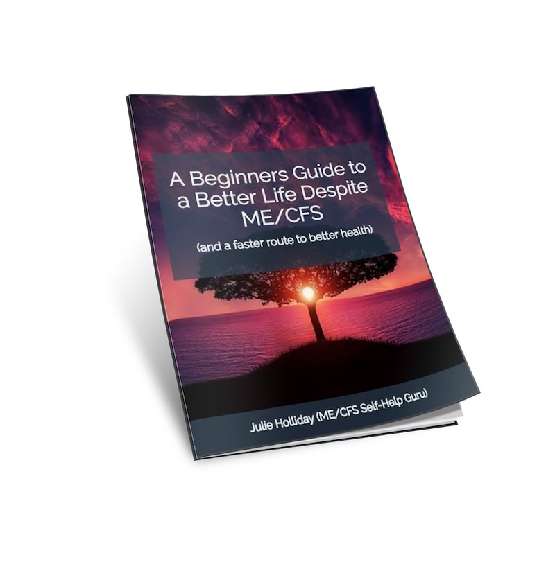 A Beginners Guide to a Batter Life Despite ME/CFS - book cover